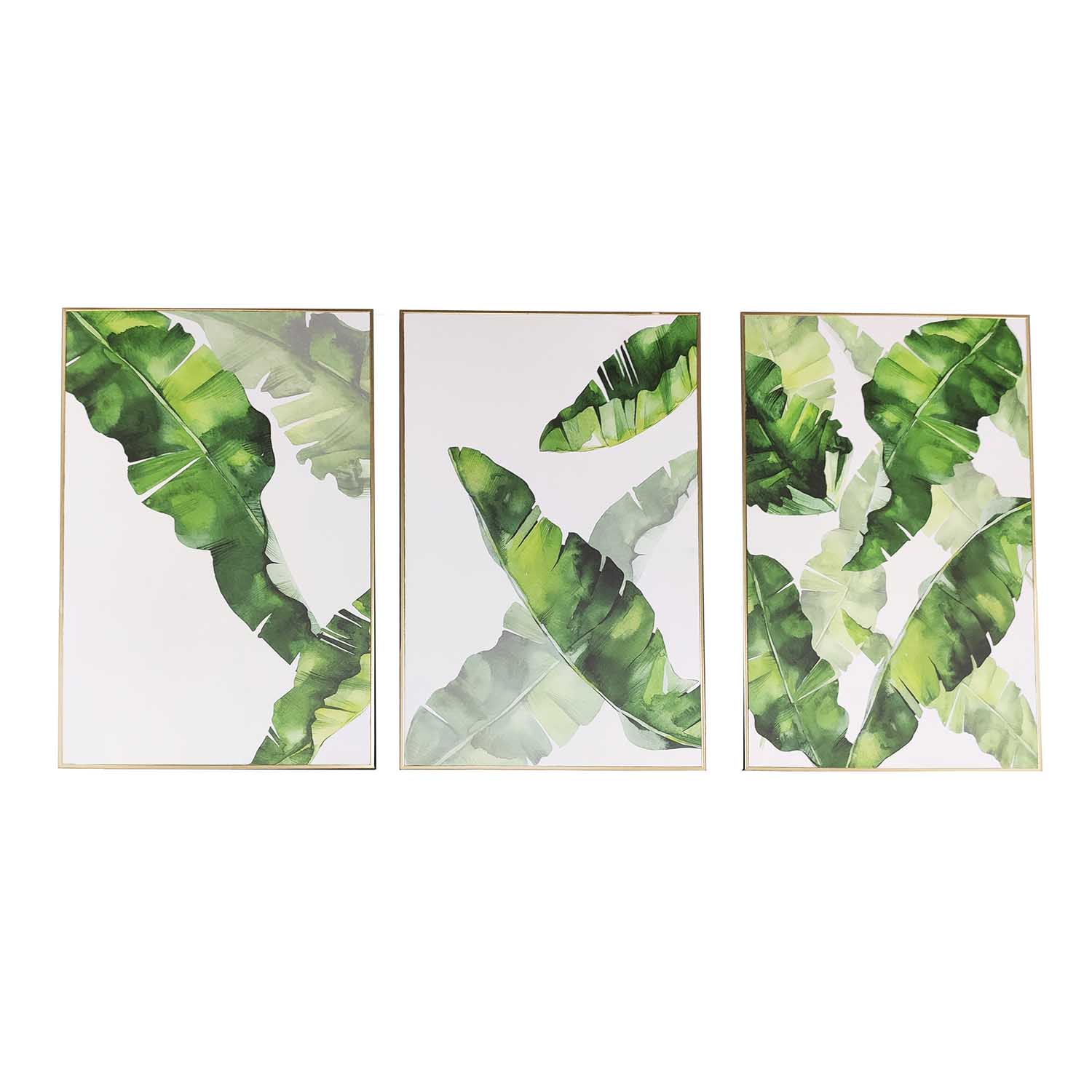 Monsterra Print Paintings Set of 3
