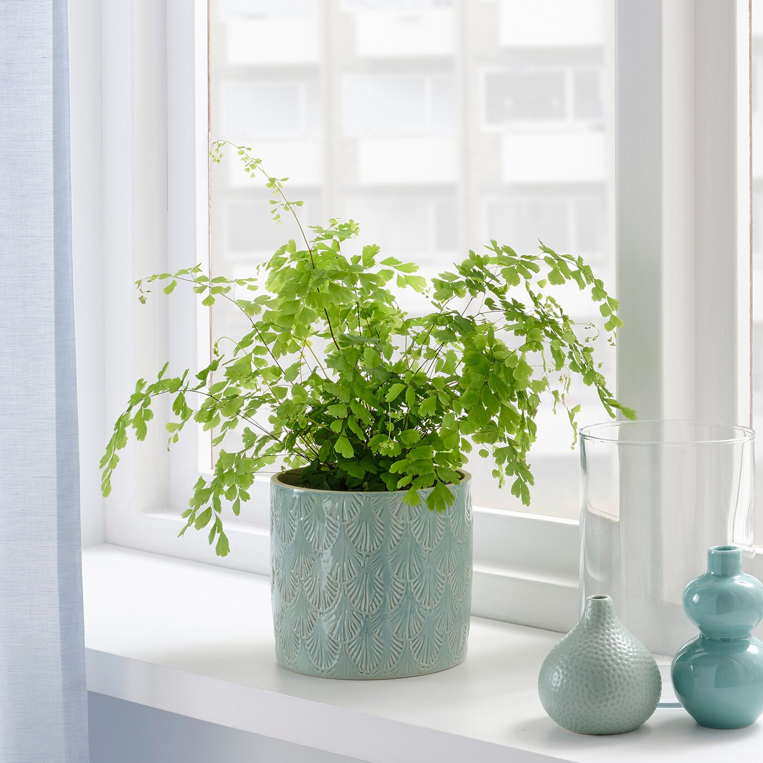 Chiafron Plant Pot In/Outdoor 12 cm (Light Blue) - Furniture Source  Philippines
