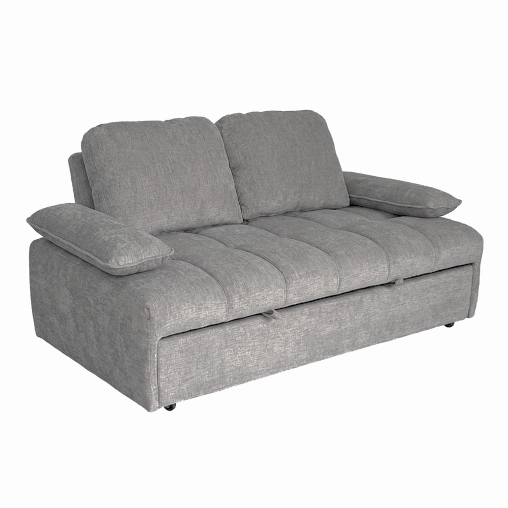 Danson 2-Seater Sofabed (Gray)